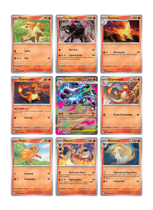 Mega Charizard X ex Page