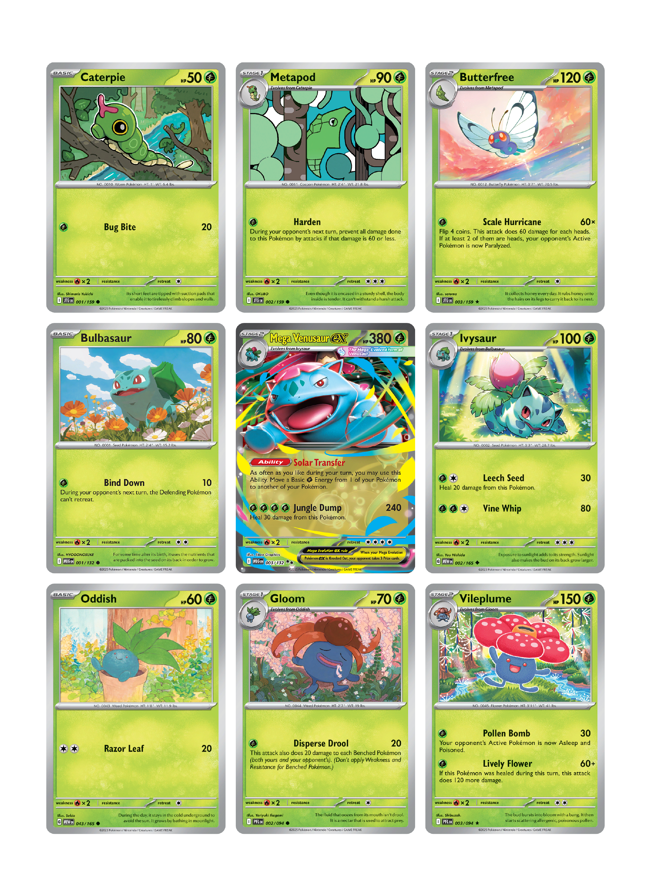 Mega Venusaur ex Page