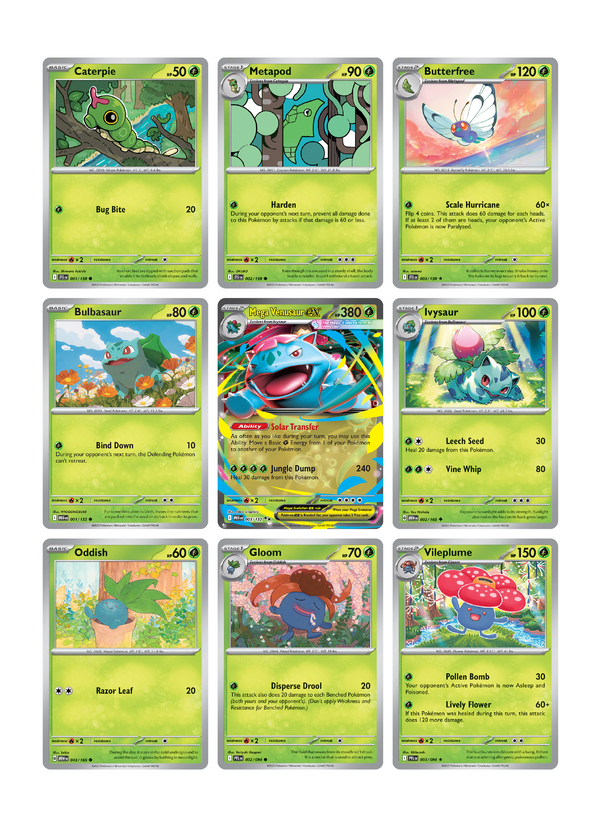 Mega Venusaur ex Page